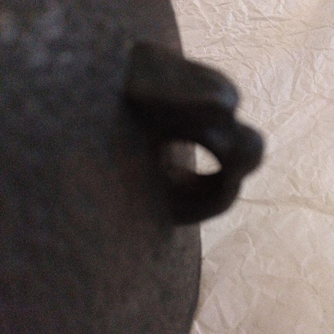 【茶道具】茶釜