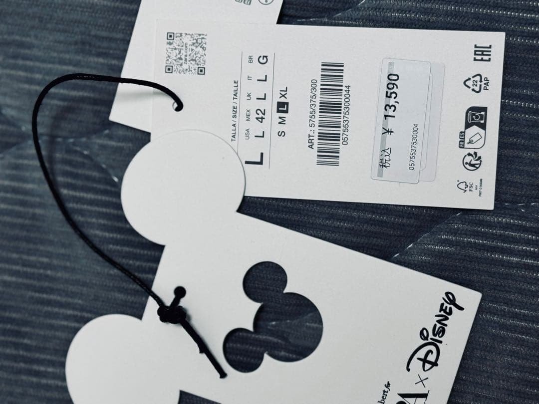 ZARA x Disney Harry Lambertプルート ニット L
