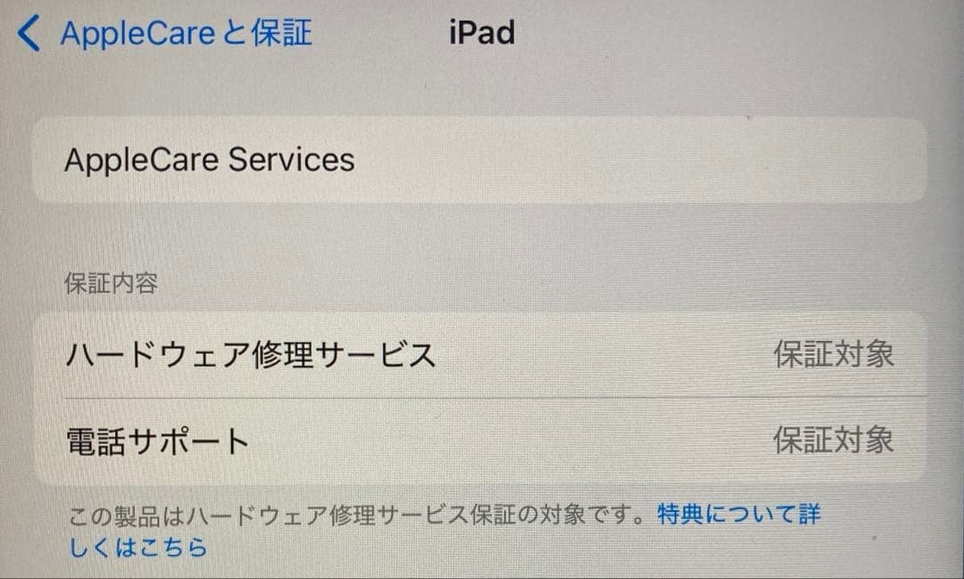 美品　Apple iPad 10世代 64GB セルラー Cellular