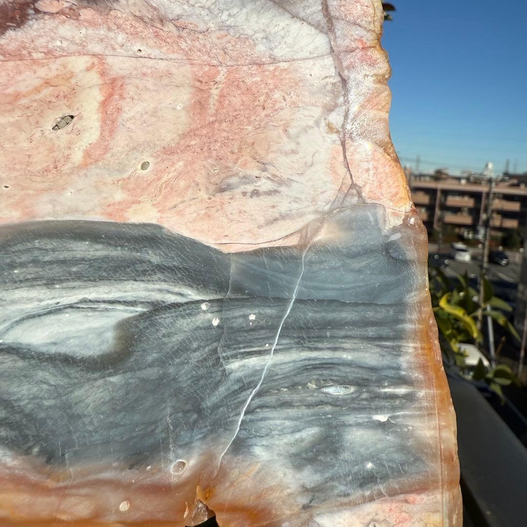 高品質　ペトリファイドウッド　520g プレート　底面磨き　台座付き　珪化木②